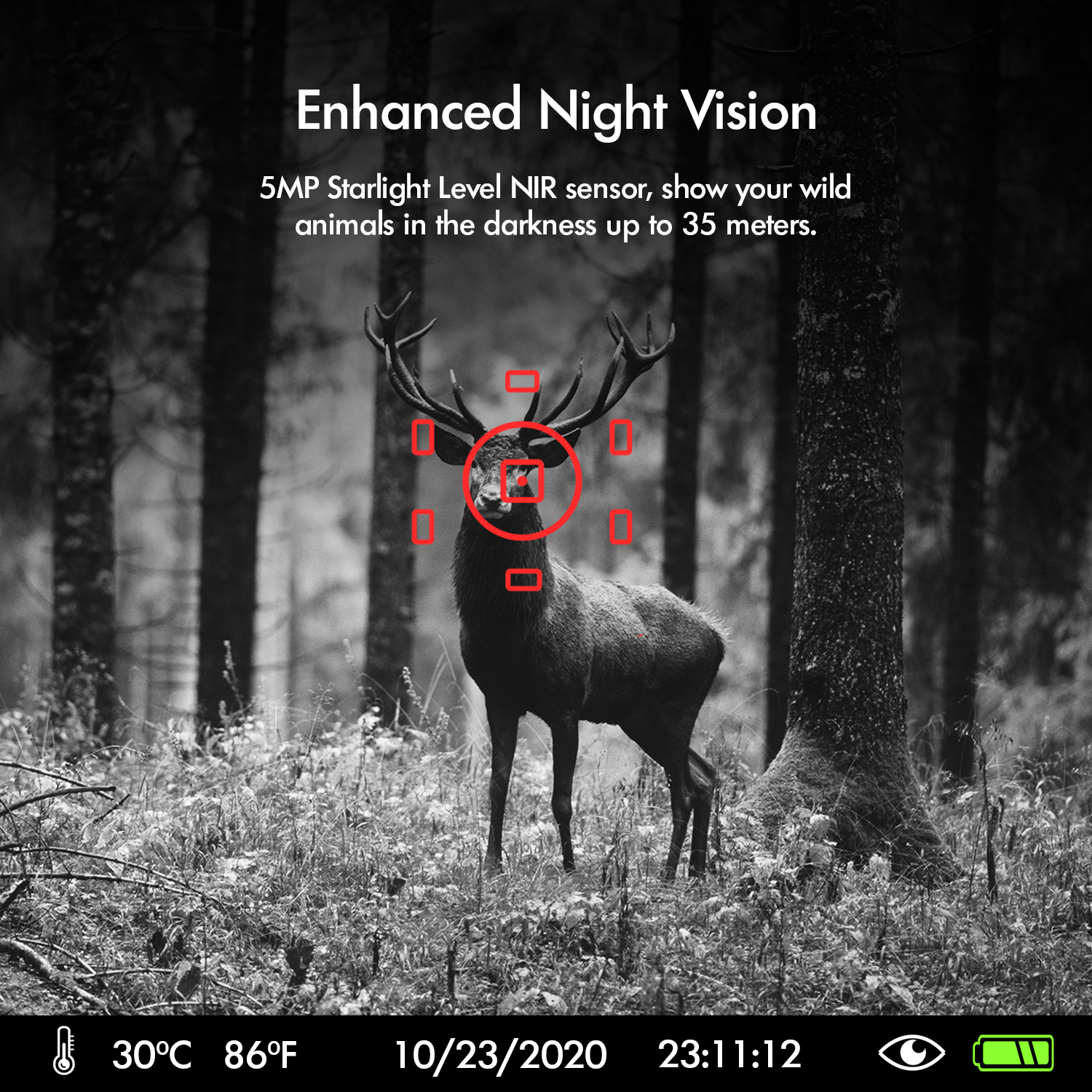 REXING USA Woodlens H3 trail camera with enhanced nightvision capabilities