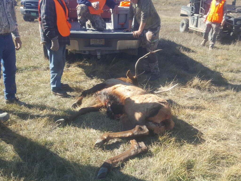 diy hunting trip - more hunters the better when it comes time to pack out an elk