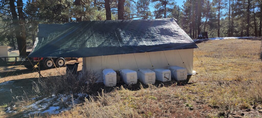 Montana Canvas wall tent set up with additional tarp over roof to shed snow.