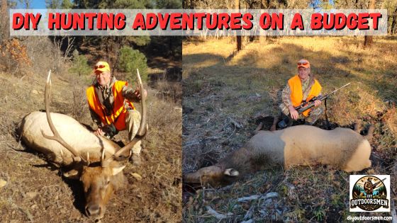 DIY Hunting Adventures on a Budget - Author with a nice bull elk and a recent cow elk harvest.