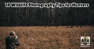 Wildlife Photography Tips for Hunting featured image showing a photographer standing at the edge of a field and photographing a herd of deer feeding in the field.
