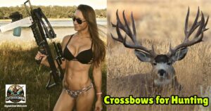 Crossbows for Hunting Featured Image showing a lady hunter with her crossbow next to an image of a large Mule Deer buck.