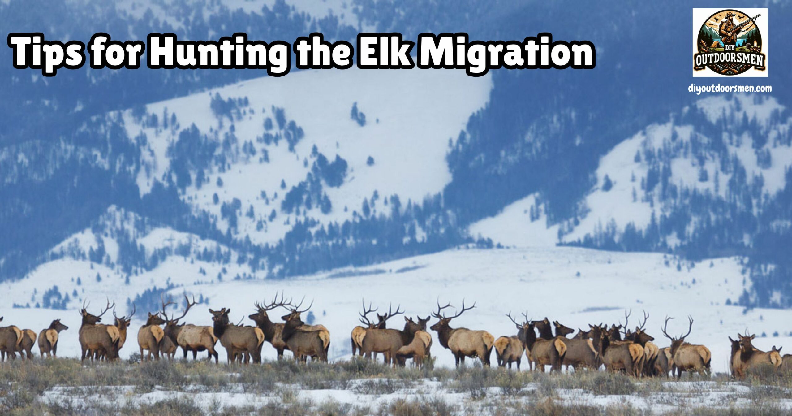 Hunting the Elk Migration featured an image of a large herd of elk migrating through a valley with snow-covered mountains in the background.