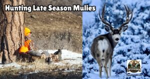 Late-Season Mule Deer Hunting Tips featured image showing Jerry Gerwick sitting on a hillside and an image of a large mule deer buck standing in a snowy meadow.