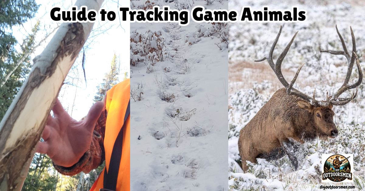 Guide to Tracking Game Animals featured image showing a rub on a small tree, elk tracks in the snow, and a large bull elk in a snowy meadow.