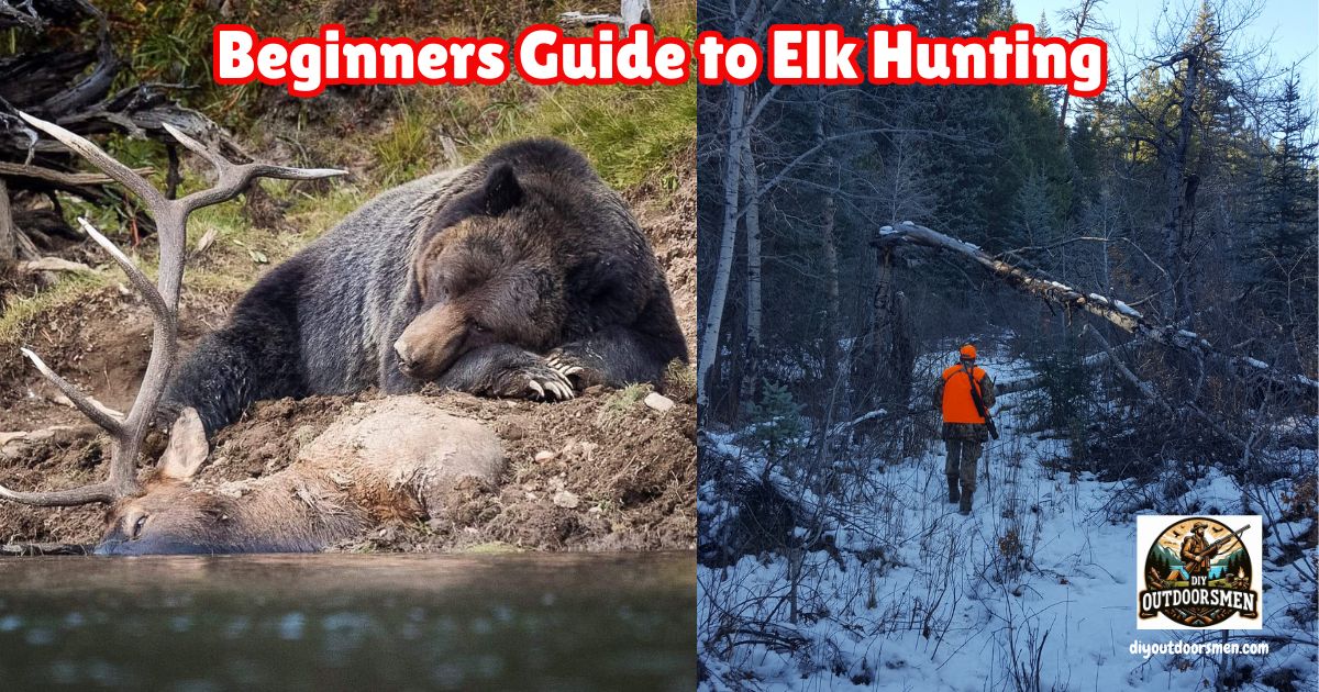 Ultimate Guide to Elk Hunting for Beginners featured image showing a hunter hiking through the woods next to an image of a bear sleeping next to a dead bull elk.