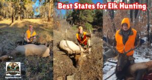 Best States for Elk Hunting in the US featured image showing 3 successful elk hunters.