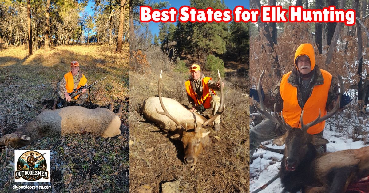 Best States for Elk Hunting in the US featured image showing 3 successful elk hunters.