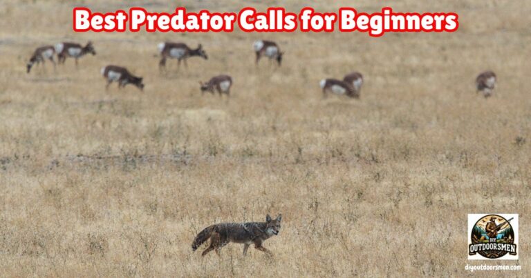 Wind Calling Predators Best Predator Calls For Beginners - DIY Outdoorsman