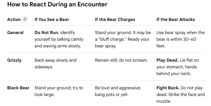 Chart on how to react if you encounter a bear