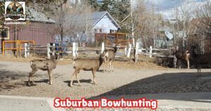 suburban bowhunting tips featured image.