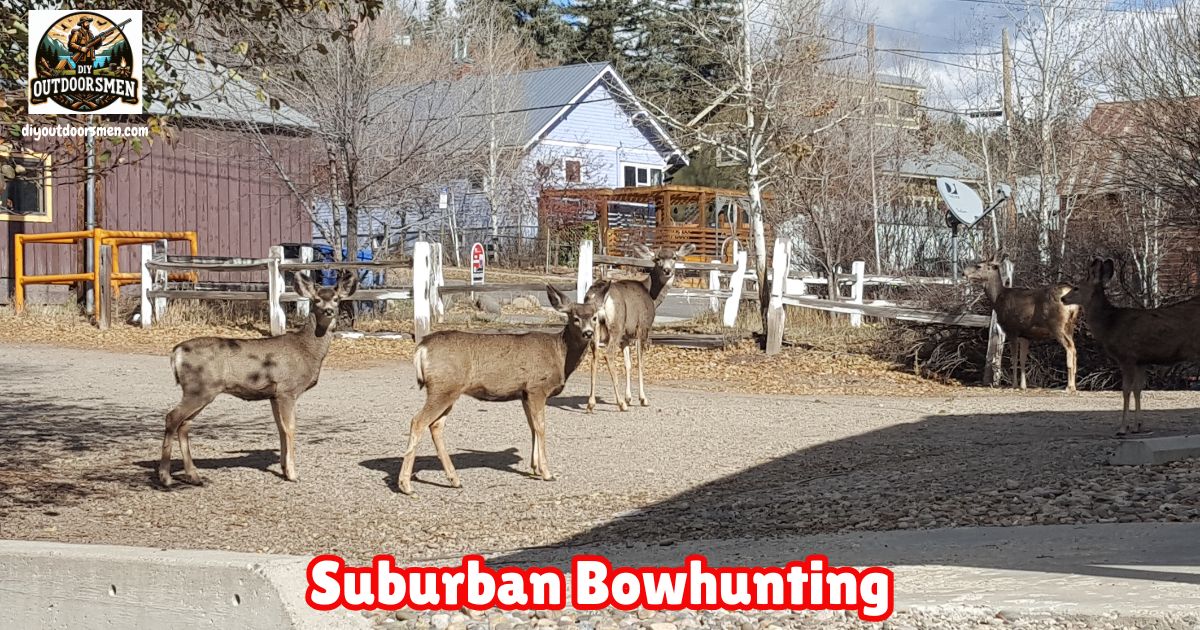 suburban bowhunting tips featured image.