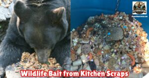 How to Create Wildlife Bait from Kitchen Scraps featured image.